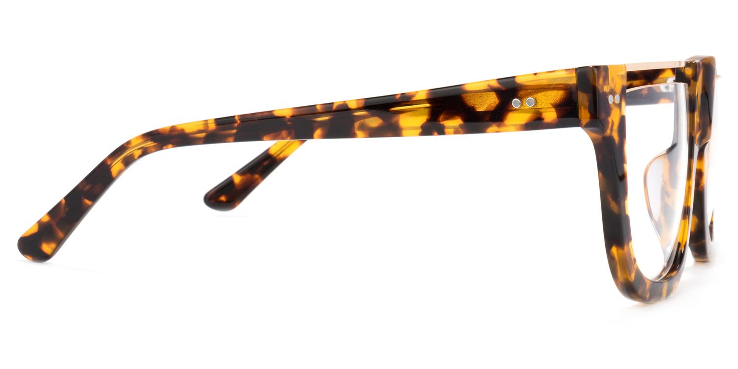 North Square Glasses | ZEELOOL UK3