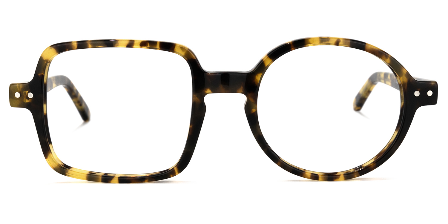 Tony Asymmetric Tortoise Glasses 0