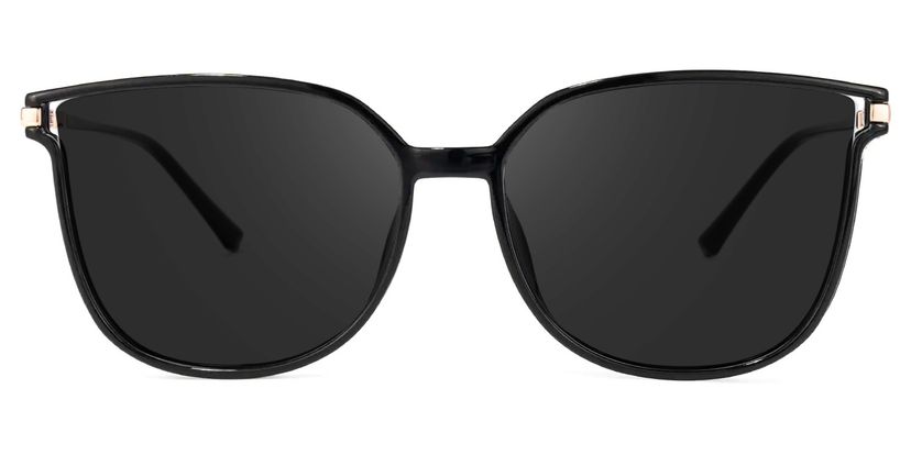 Rodz Black Square Sunglasses