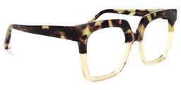 Dexter Square Tortoise Glasses1