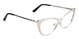 Ellen Silver Cat eye Glasses2