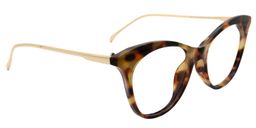 Elise Cat eye Tortoise Glasses2