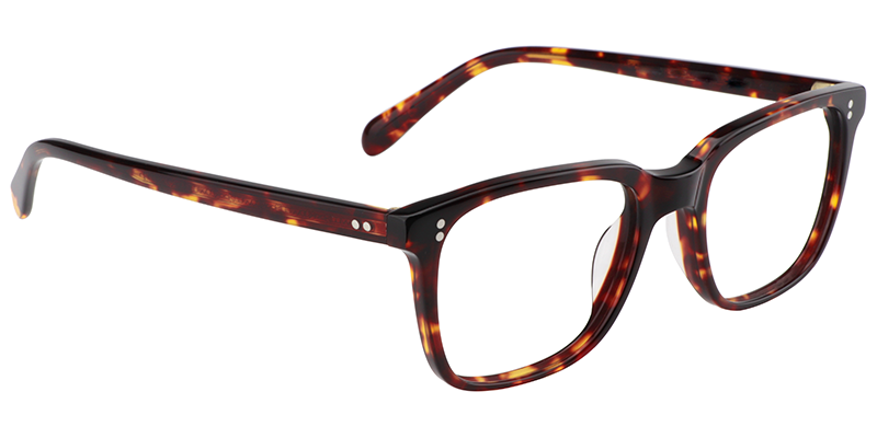 Lamont Rectangle Tortoise Frame Glasses | ZEELOOL UK3