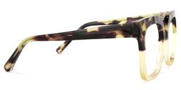 Dexter Square Tortoise Glasses3