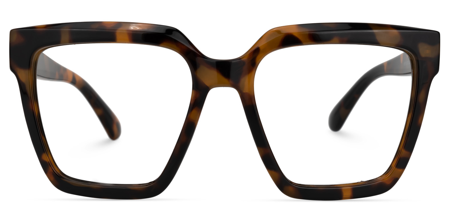 Coleman Square Tortoise Glasses0