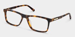 Daniel Tortoise Rectangle Glasses2