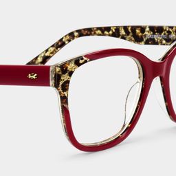 Ivy Red Square Glasses4