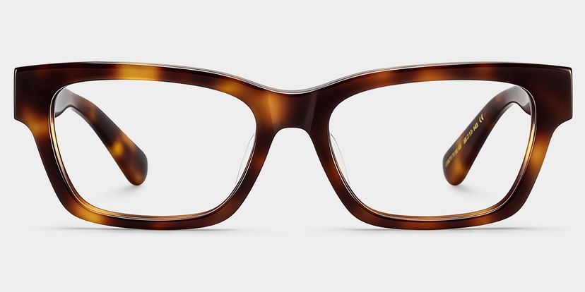 The Classic Tortoise Rectangle Glasses