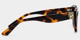 Dillon Tortoise Cat eye Glasses3
