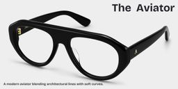 The Aviator Black Aviator Glasses3