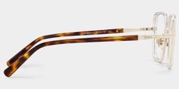 Sophie Clear Geometric Glasses4