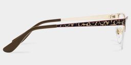 Dorian Brown Leopard print Cat eye Glasses3