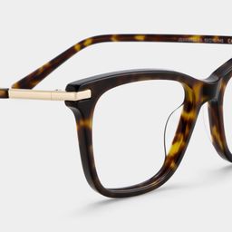 Eliot Tortoise Rectangle Glasses4