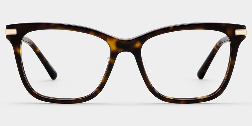 Eliot Tortoise Rectangle Glasses