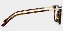 Eliot Tortoise Rectangle Glasses3