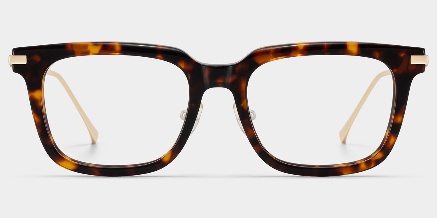 Rayne Square Glasses Eyeglasses in Tortoise Color | ZEELOOL0