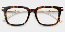 Rayne Tortoise Square Glasses1