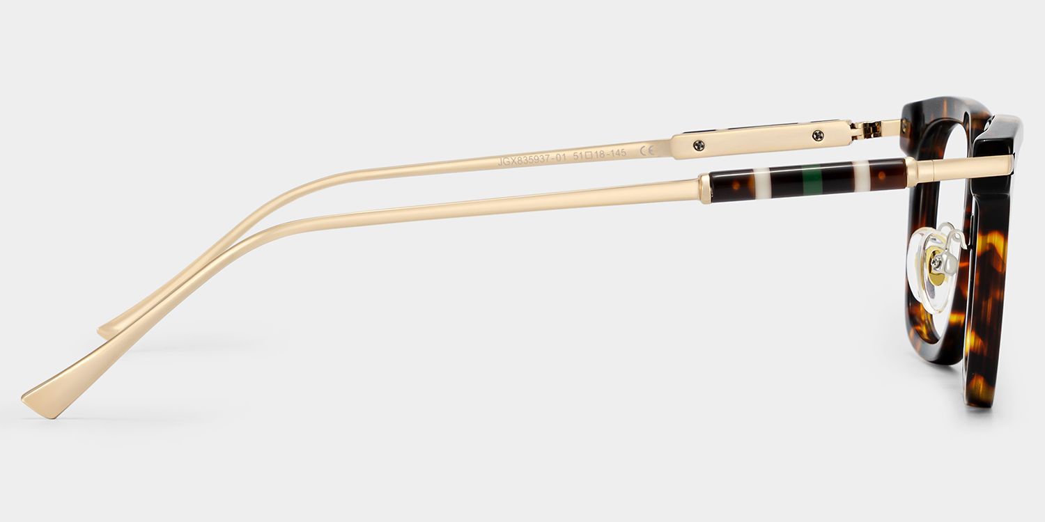 Rayne Square Glasses Eyeglasses in Tortoise Color | ZEELOOL3