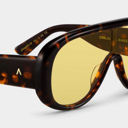 The Shield Tortoise Aviator Glasses5