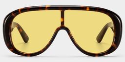 The Shield Tortoise Aviator Glasses1