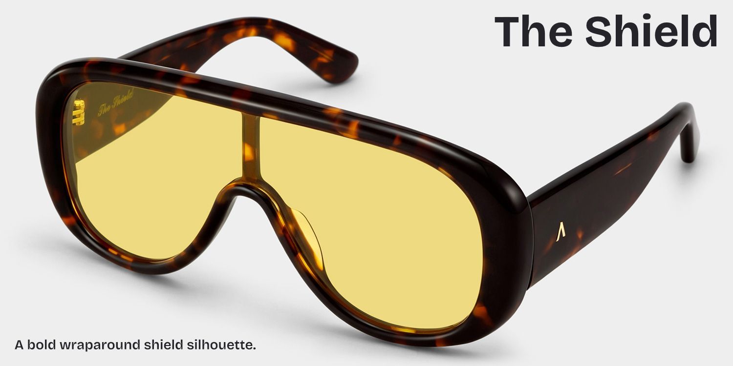 ZEELOOL x Aimee Song The Shield Tortoise Sunglasses3