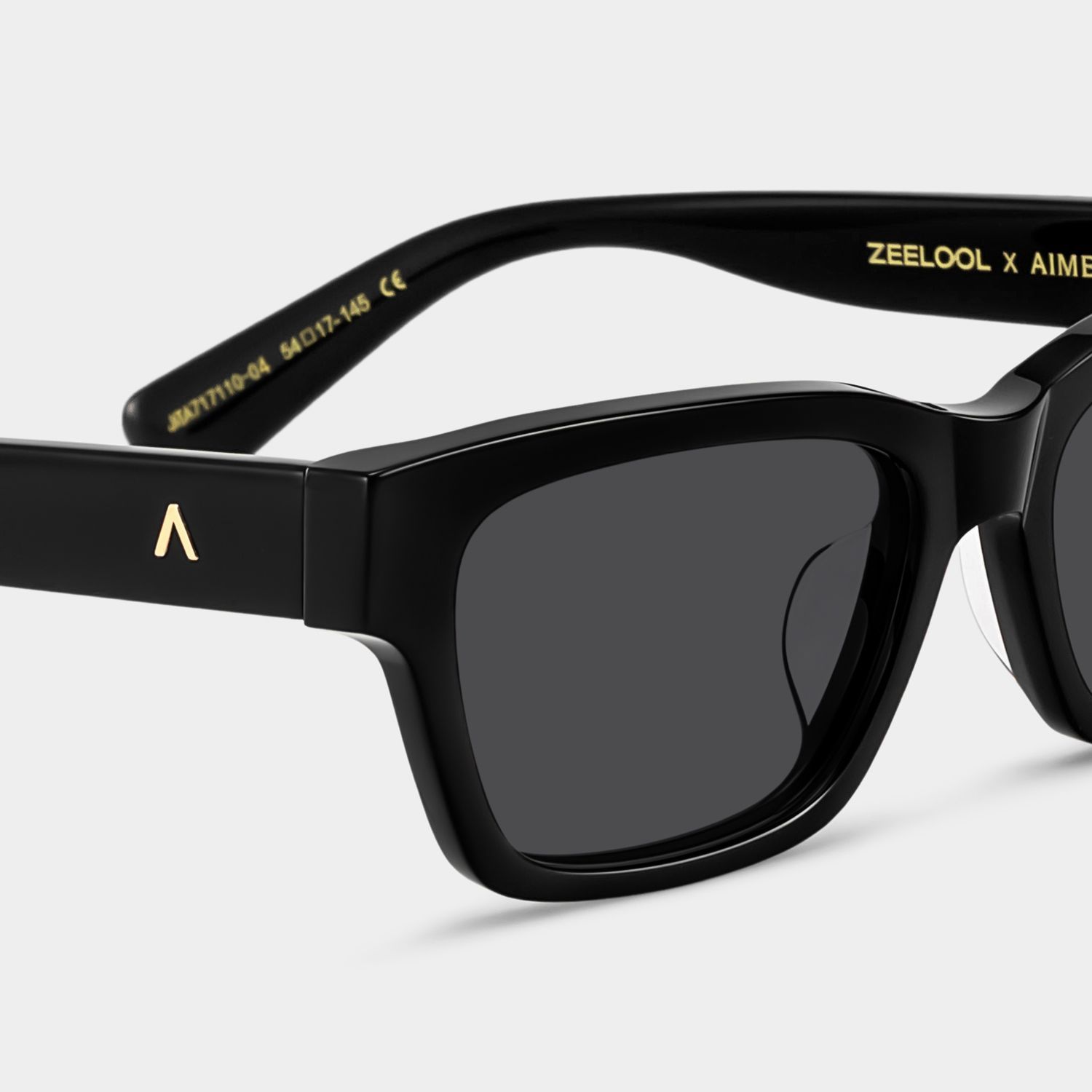 ZEELOOL x Aimee Song The Classic Black Sunglasses5