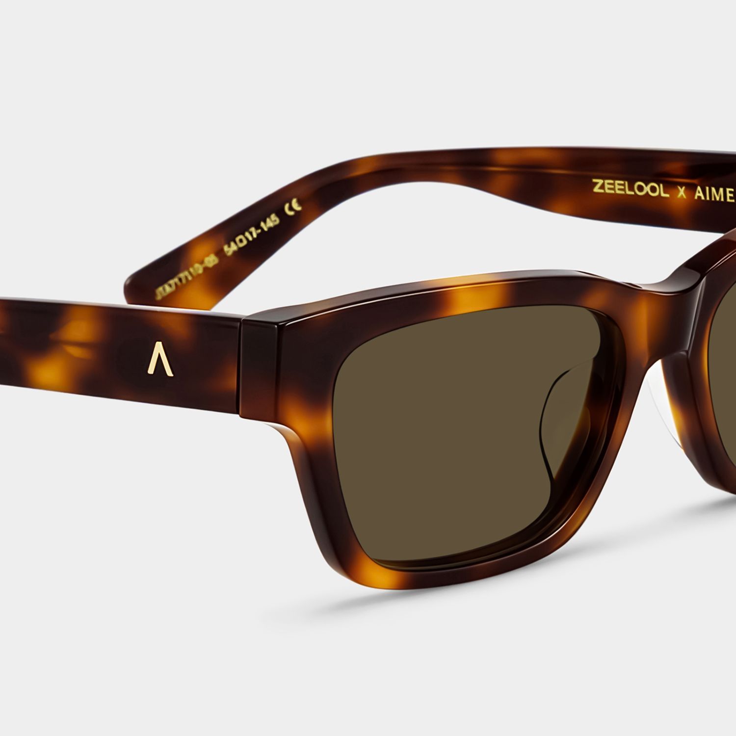 ZEELOOL x Aimee Song The Classic Tortoise Sunglasses5
