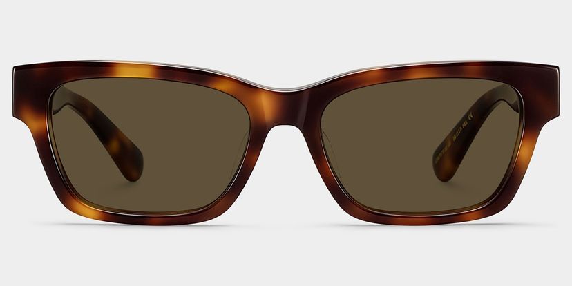 The Classic Tortoise Rectangle Glasses