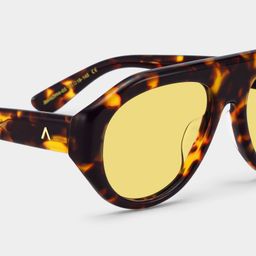 The Aviator Tortoise Aviator Glasses5