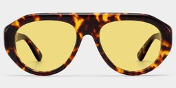 The Aviator Tortoise Aviator Glasses1