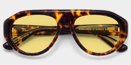 The Aviator Tortoise Aviator Glasses2