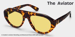 The Aviator Tortoise Aviator Glasses3