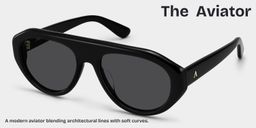The Aviator Black Aviator Glasses3